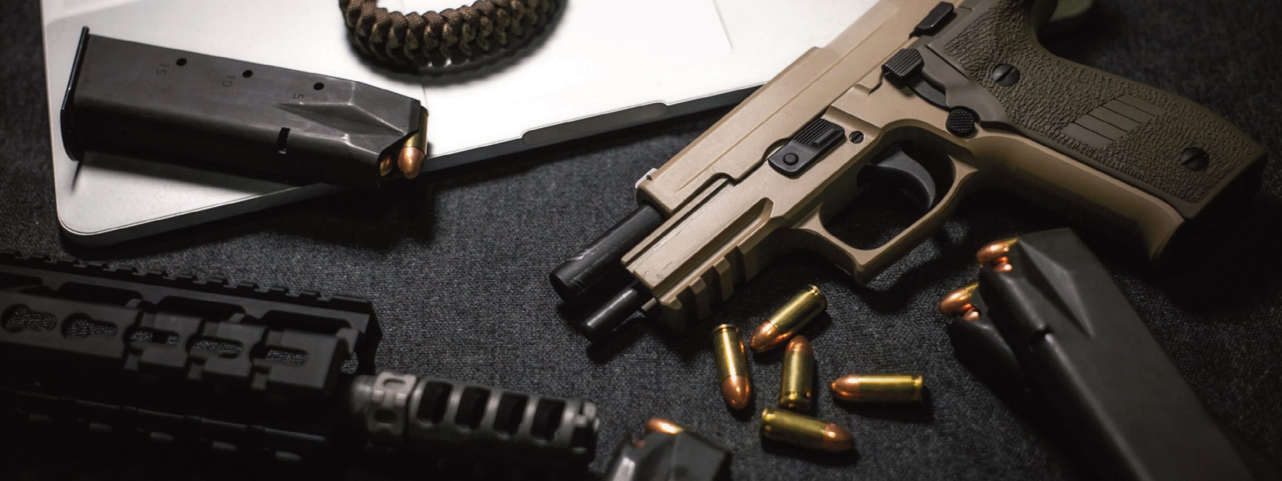 Proposed gun laws polarize 2024 legislative session South Florida Times